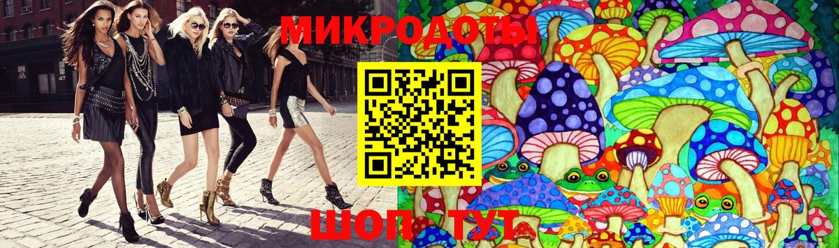 Псилоцибиновые грибы мухоморы Димитровград