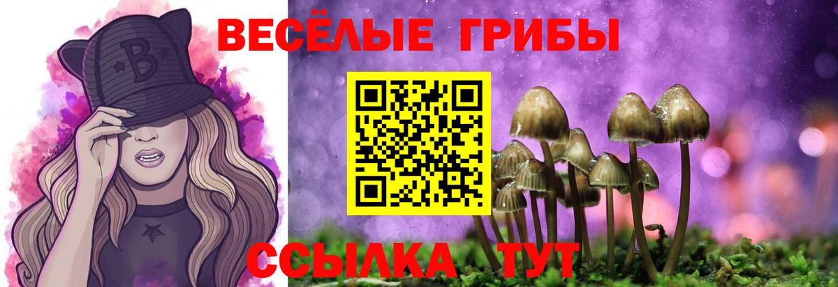 Галлюциногенные грибы мухоморы  Вход с VPN  наркошоп  Димитровград 