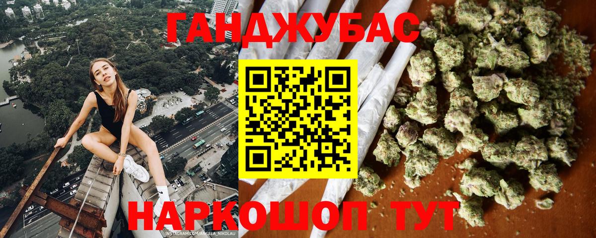 Каннабис планчик  Бошки марихуана Bruce Banner  Димитровград  Вход с VPN  Марихуана ГИДРОПОН 